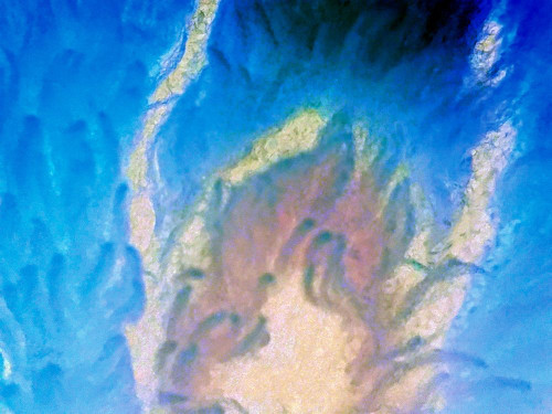 Blue Fur II Poster Print by Grayscale Grayscale - Item # VARPDXMJMABS00057