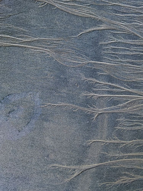 Sand Fibers |I Poster Print by Grayscale Grayscale - Item # VARPDXMJMABS00081