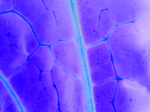 Turquoise Ridge I Poster Print by Grayscale Grayscale - Item # VARPDXMJMABS00093