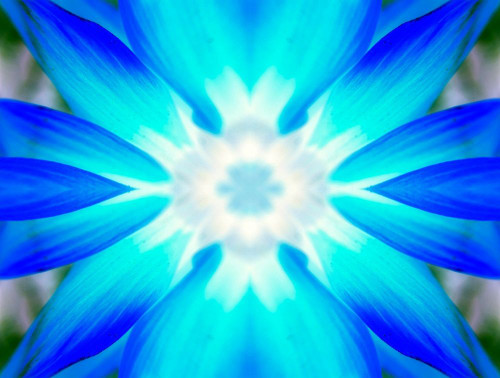 Flower Medallion V Poster Print by Grayscale Grayscale - Item # VARPDXMJMABS00103