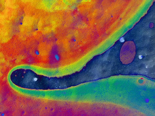 Bio Rainbow I Poster Print by Grayscale Grayscale - Item # VARPDXMJMABS00122