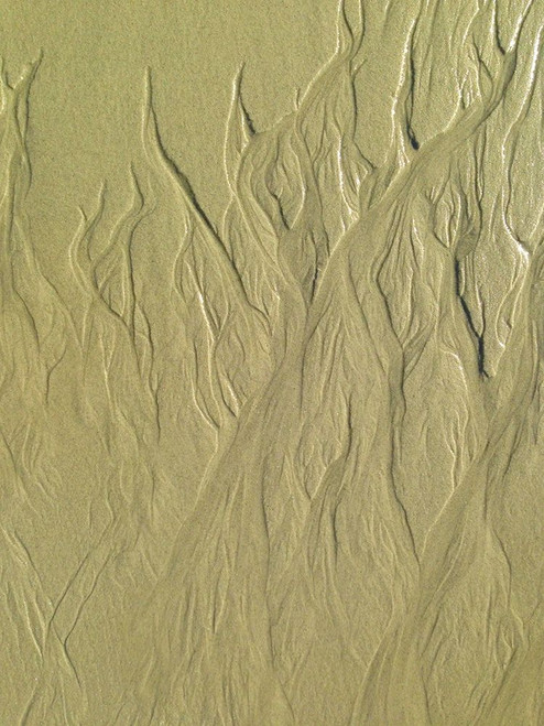 Wet Sand II Poster Print by Grayscale Grayscale