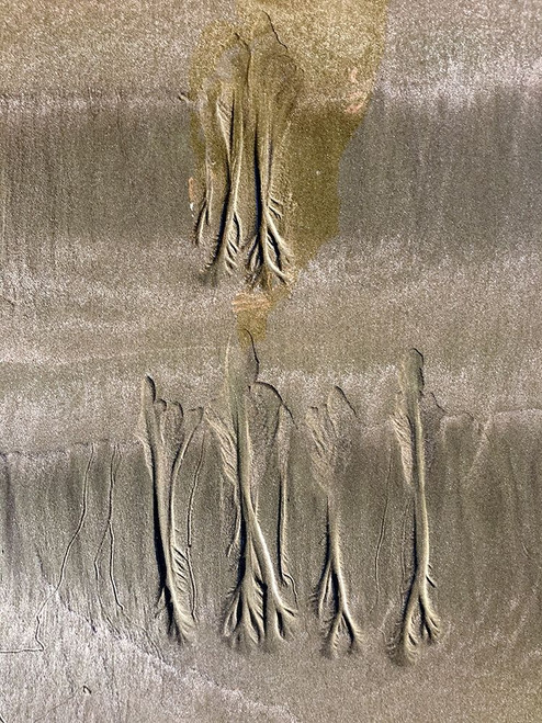 Wet Sand IX Poster Print by Grayscale Grayscale - Item # VARPDXMJMCOA00042