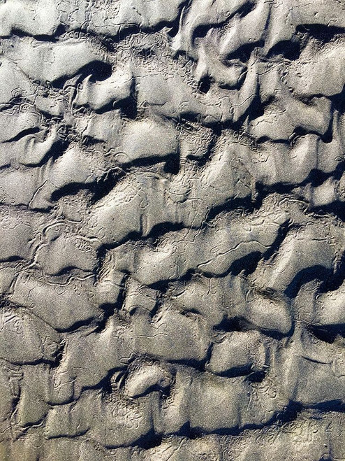 Sand Prints V Poster Print by Grayscale Grayscale - Item # VARPDXMJMCOA00050
