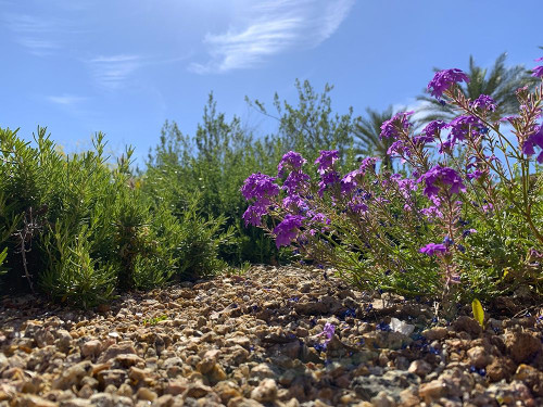 Rock Path I Poster Print by Grayscale Grayscale - Item # VARPDXMJMLAN00004