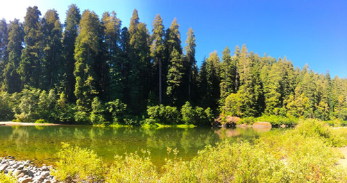 River View II Poster Print by Grayscale Grayscale - Item # VARPDXMJMNAT00046