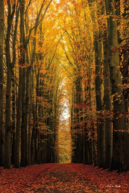 Highway to Heaven Poster Print by Martin Podt - Item # VARPDXMPP148