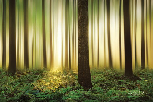 Forest in Motion Poster Print by Martin Podt - Item # VARPDXMPP433