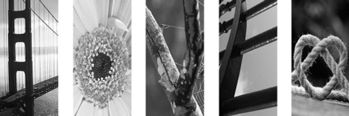 Love Collage 1 Poster Print by Marcus Prime - Item # VARPDXMPPL062C