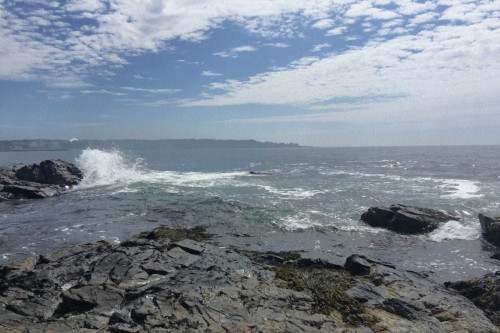 Morning Tide 5 Poster Print by Marcus Prime - Item # VARPDXMPRC023G