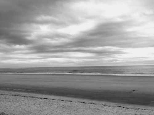 Morning Mist BW 2 Poster Print by Marcus Prime - Item # VARPDXMPRC052B1