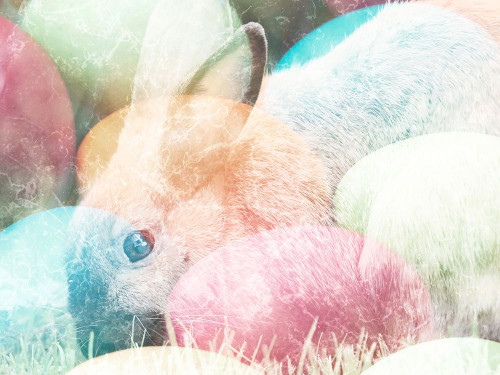 Hidden Gems Poster Print by Marcus Prime - Item # VARPDXMPRC167A