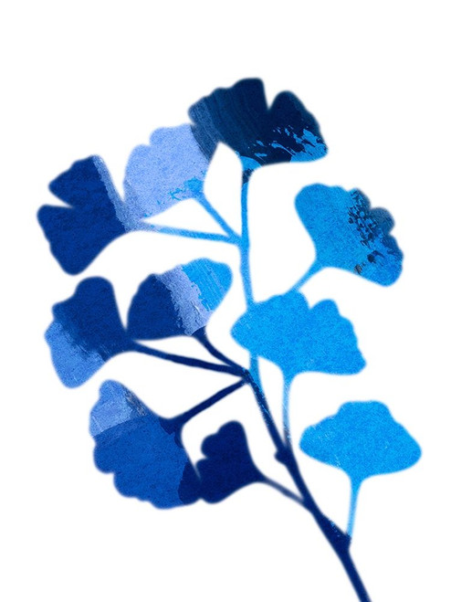 Ginko Paint 2 Poster Print by Marcus Prime - Item # VARPDXMPRC196B