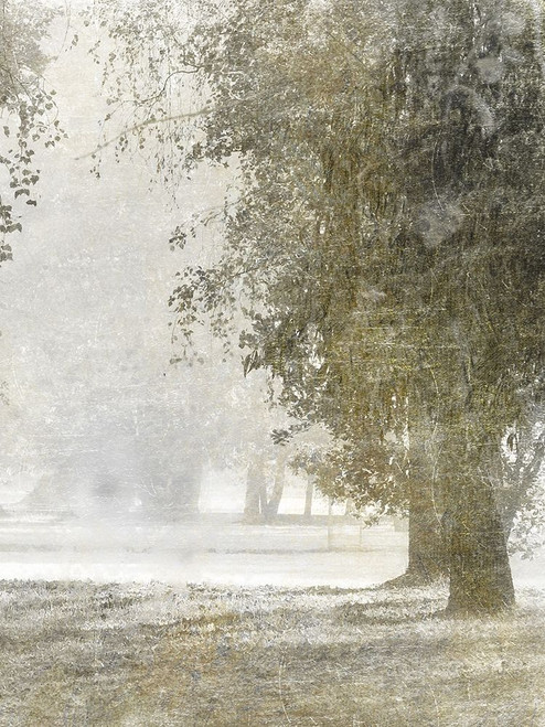 Autumn Dream 1 Poster Print by Marcus Prime - Item # VARPDXMPRC253A