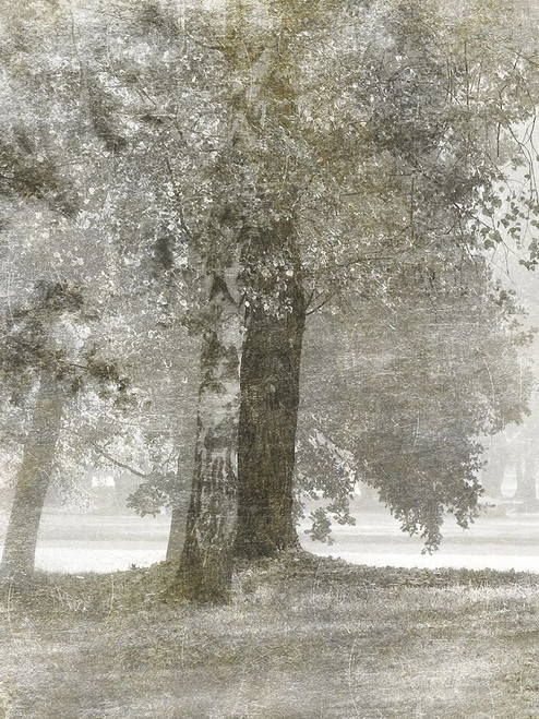 Autumn Dream 2 Poster Print by Marcus Prime - Item # VARPDXMPRC253B