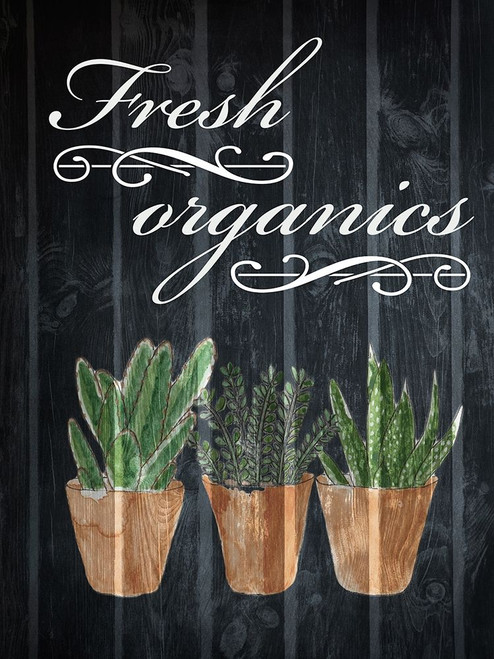Fresh Organics 1 Poster Print by Marcus Prime - Item # VARPDXMPRC394A