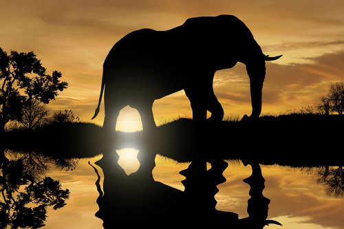 Calming Walk 1 Poster Print by Marcus Prime - Item # VARPDXMPRC396A