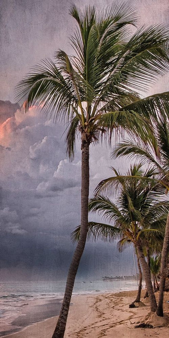 Morning Sea Breeze Poster Print by Marcus Prime - Item # VARPDXMPRN017A