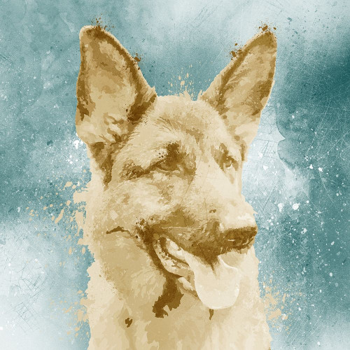 Shepard Splat Poster Print by Marcus Prime - Item # VARPDXMPSQ069A