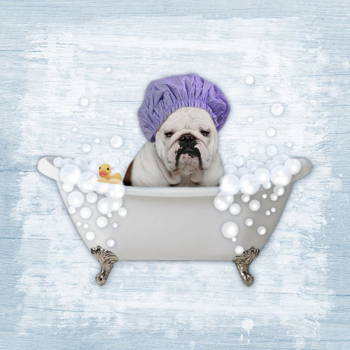Bath Time Bubbles 1 Poster Print by Marcus Prime - Item # VARPDXMPSQ106A