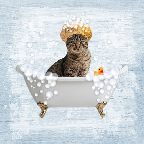 Fun Kitty Bath 2 Poster Print by Marcus Prime - Item # VARPDXMPSQ107B