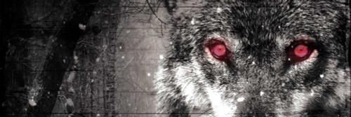Wolf Eyes Poster Print by Milli Villa - Item # VARPDXMVPL002A
