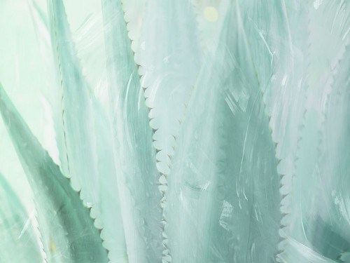 Relaxing Point Poster Print by Milli Villa - Item # VARPDXMVRC104A