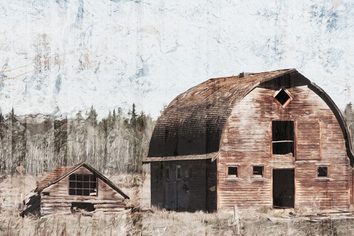 Broken Down Barn Poster Print by Mlli Villa - Item # VARPDXMVRC121A