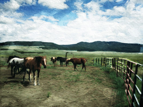 Round Them Up Poster Print by Mlli Villa - Item # VARPDXMVRC147A