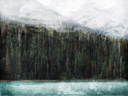 Look At The Trees Poster Print by Mlli Villa - Item # VARPDXMVRC332A