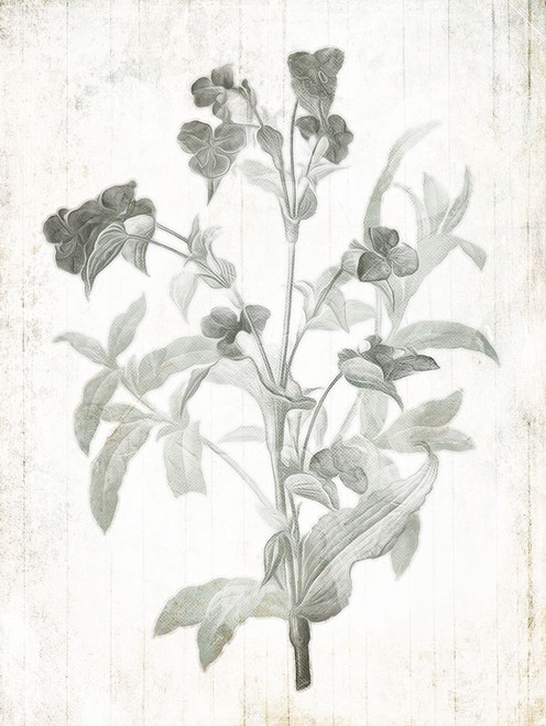 Soft Flowers On Wood Poster Print by Mlli Villa - Item # VARPDXMVRC338A