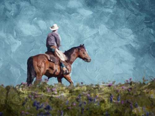 Cowboy Enjoys The Outlooktif Poster Print by Mlli Villa