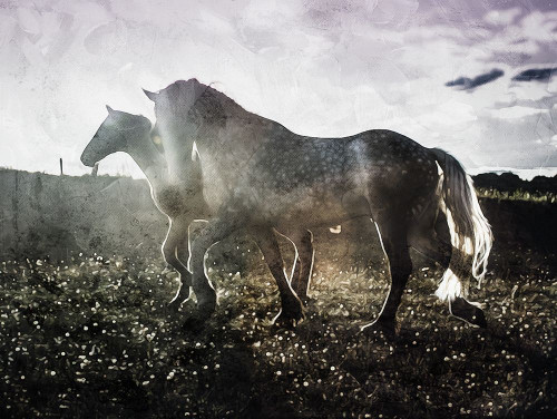 Together Poster Print by Mlli Villa - Item # VARPDXMVRC373A