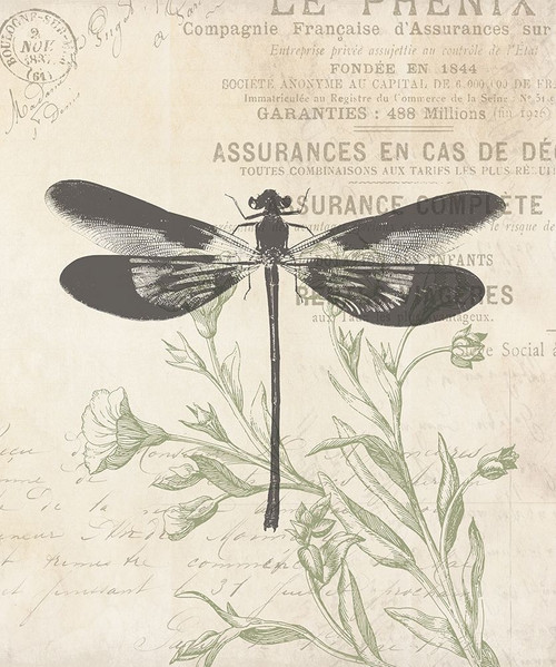 Lightened Vintage Insects Poster Print by Mlli Villa - Item # VARPDXMVRC411A