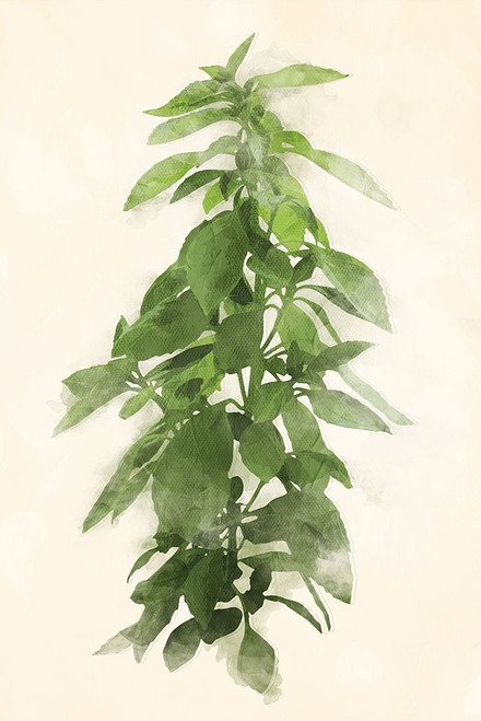 Green Leaves Mate Poster Print by Mlli Villa