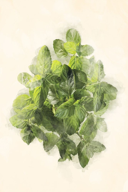 More Green Leaves Poster Print by Mlli Villa