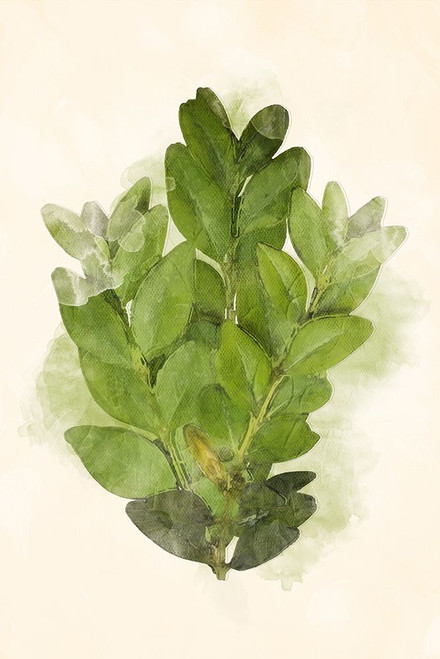 More Green Leaves Mate Poster Print by Mlli Villa