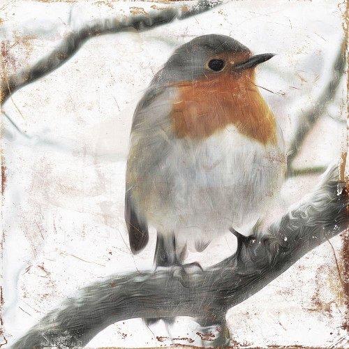 Cold Bird Poster Print by Mlli Villa - Item # VARPDXMVSQ088A