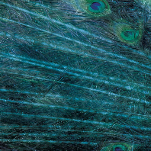 Peacock Galaxy One Poster Print by Mlli Villa - Item # VARPDXMVSQ101A