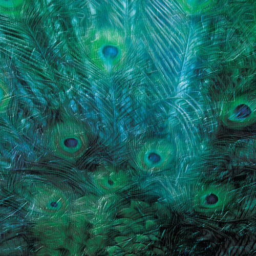 Peacock Galaxy Three Poster Print by Mlli Villa - Item # VARPDXMVSQ101C