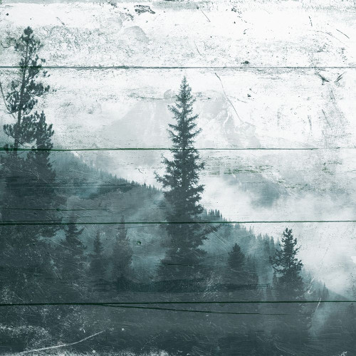 Fog On The Forest Poster Print by Mlli Villa - Item # VARPDXMVSQ106A