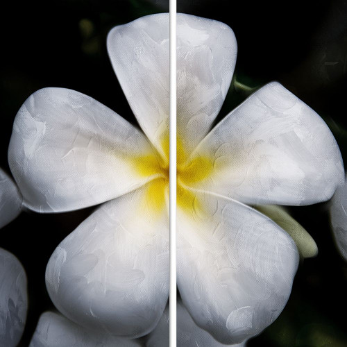 Smile Poster Print by Mlli Villa - Item # VARPDXMVSQ199A