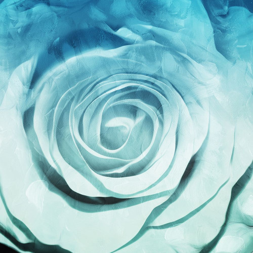 Sky Flower Poster Print by Mlli Villa - Item # VARPDXMVSQ200A