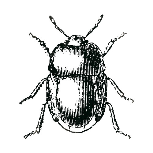 Bug Life Poster Print by Mlli Villa - Item # VARPDXMVSQ299A