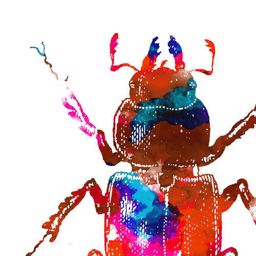 Water Bugs Two Poster Print by Mlli Villa - Item # VARPDXMVSQ300B