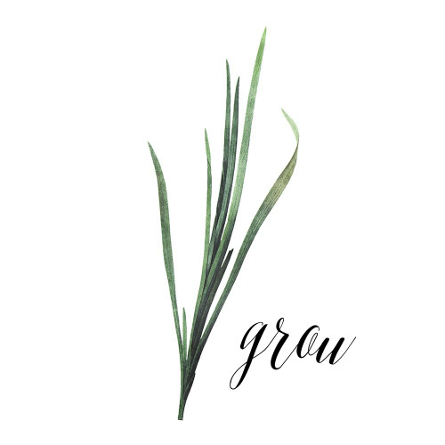 Grow Poster Print by Mlli Villa