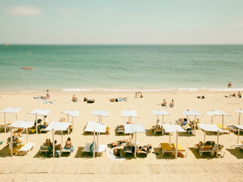 Seaside 3 Poster Print by Carina Okula - Item # VARPDXO368D