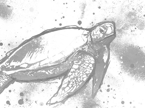 Turtle In The Grey Poster Print by OnRei OnRei - Item # VARPDXONRC182B