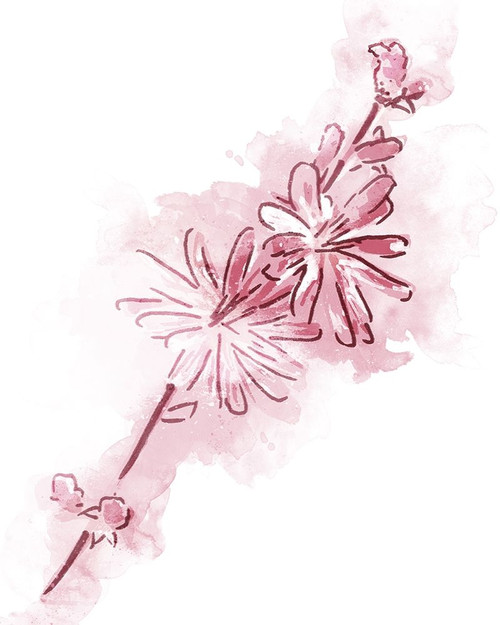 Water Inked Florals Mate Blush Poster Print by OnRei OnRei
