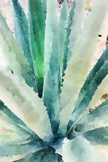 Rustic Succulent II Poster Print by Irena Orlov - Item # VARPDXOR349A